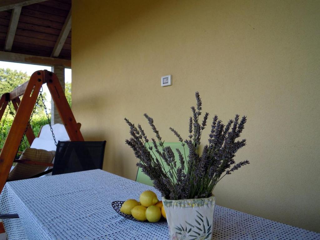Holiday House Emc Umag Exteriör bild